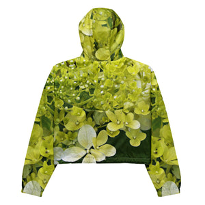 Women’s Cropped Windbreaker | Elegant Chartreuse Green Limelight Hydrangea