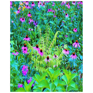Posters, Purple Coneflower Garden with Chartreuse Foliage - Vertical