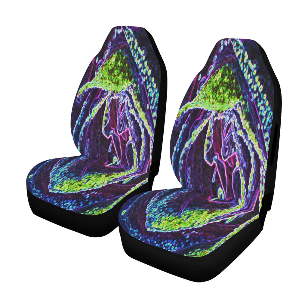 Car Seat Covers, Graphic Black White Blue and Green Rose Detail