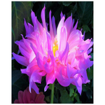 Posters, Stunning Pink and Purple Cactus Dahlia - Vertical