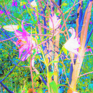 Round Throw Blankets, Abstract Oriental Lilies in My Rubio Garden