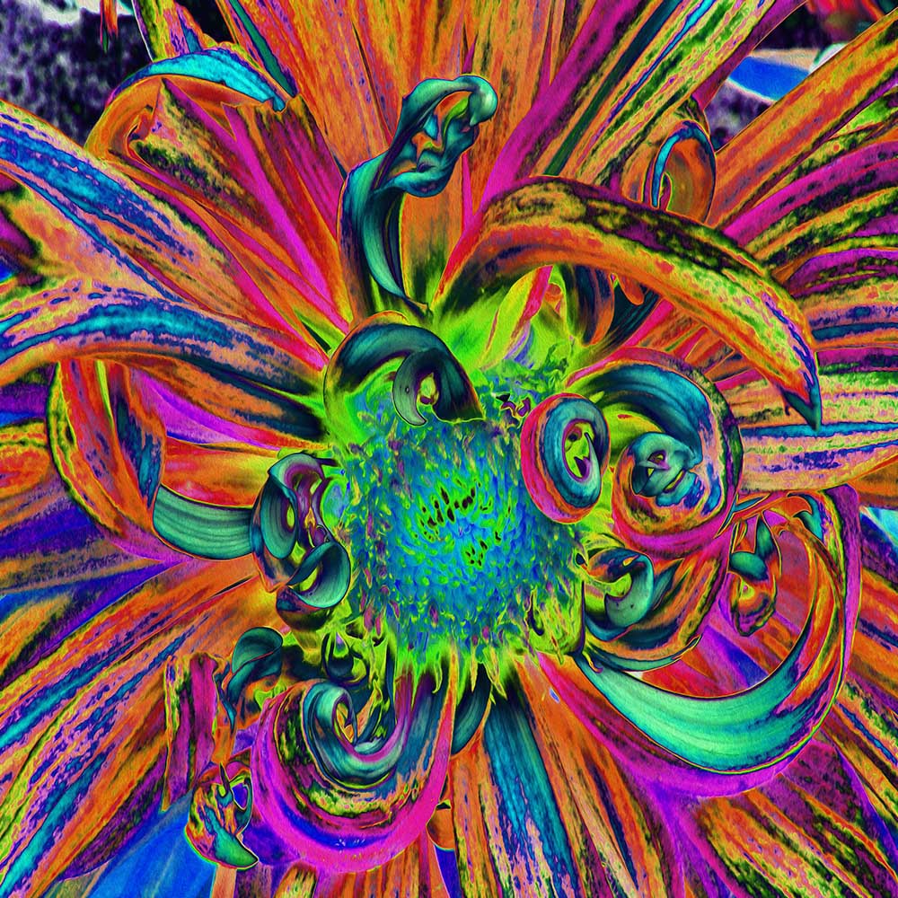 Yoga Leggings - Festive Psychedelic Colorful Dahlia Flower Petals