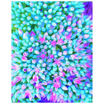 Posters, Blue and Hot Pink Succulent Sedum Flowers Detail - Vertical