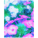 Posters, Pink, Green, Blue and White Garden Phlox Flowers - Vertical