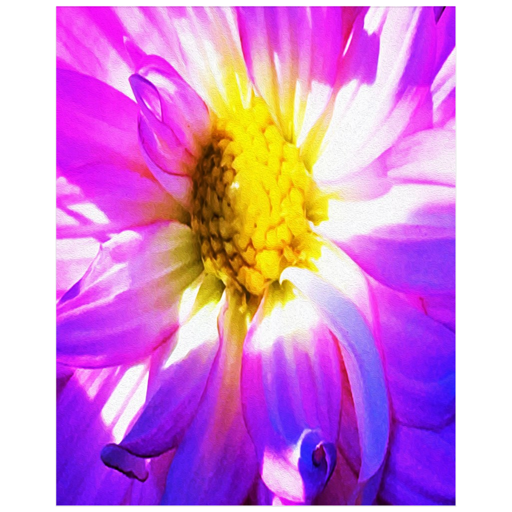 Posters, Purple and White Dahlia with a Bright Yellow Center - Vertical