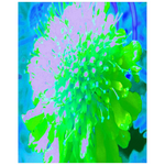 Posters for Teens, Abstract Pincushion Flower in Lavender and Green