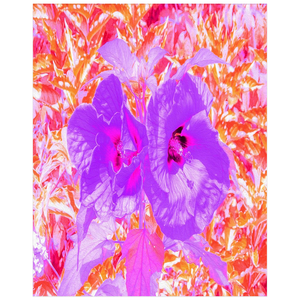 Posters for Girls, Two Purple and Hot Pink Plum Crazy Hibiscus - Vertical