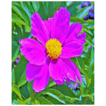 Posters, Brilliant Ultra-Violet Peony with Yellow Center - Vertical
