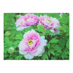 Tablecloths for Rectangle Tables, Elegant Pink Tree Peony Flowers with Yellow Centers