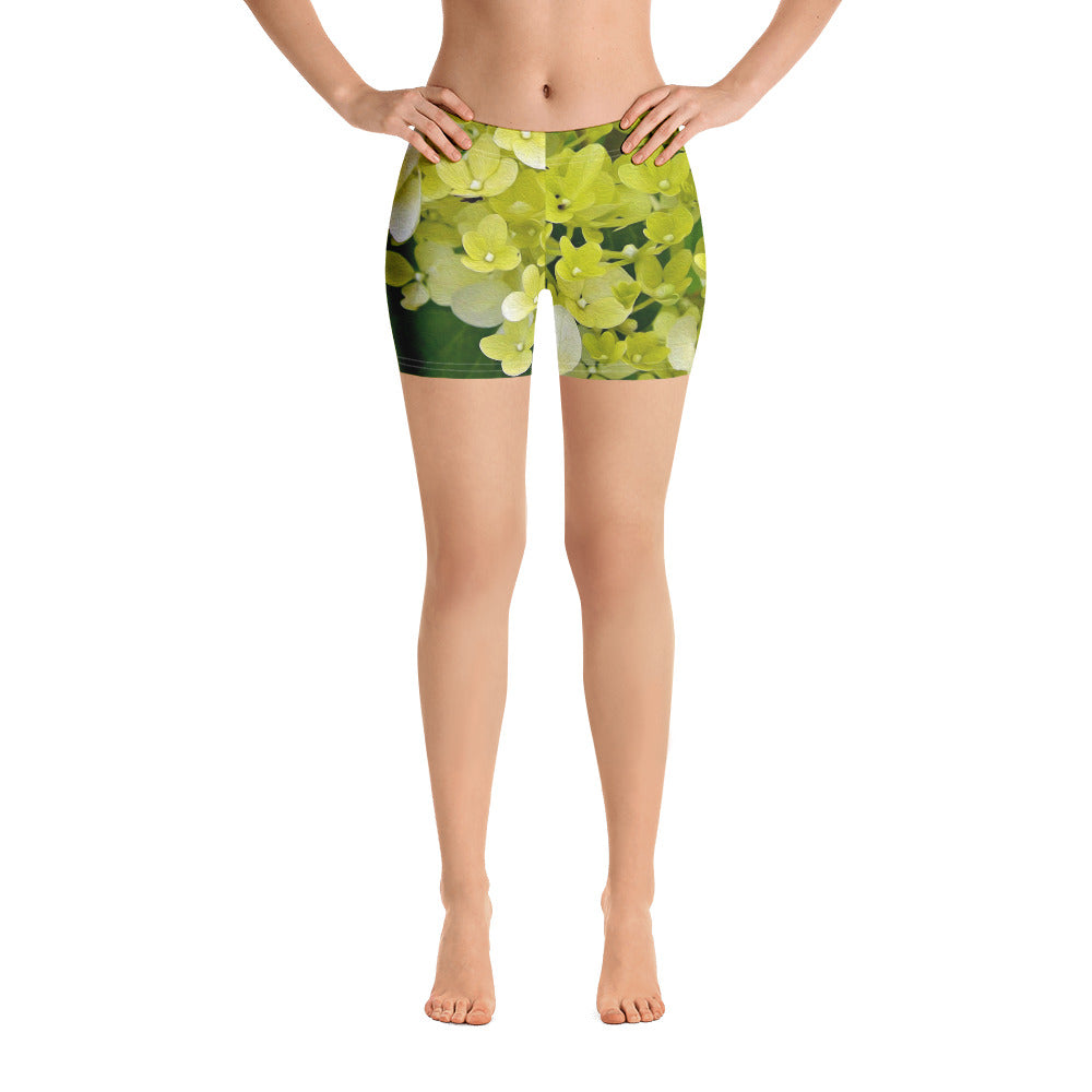 Spandex Shorts for Women, Elegant Chartreuse Green Limelight Hydrangea