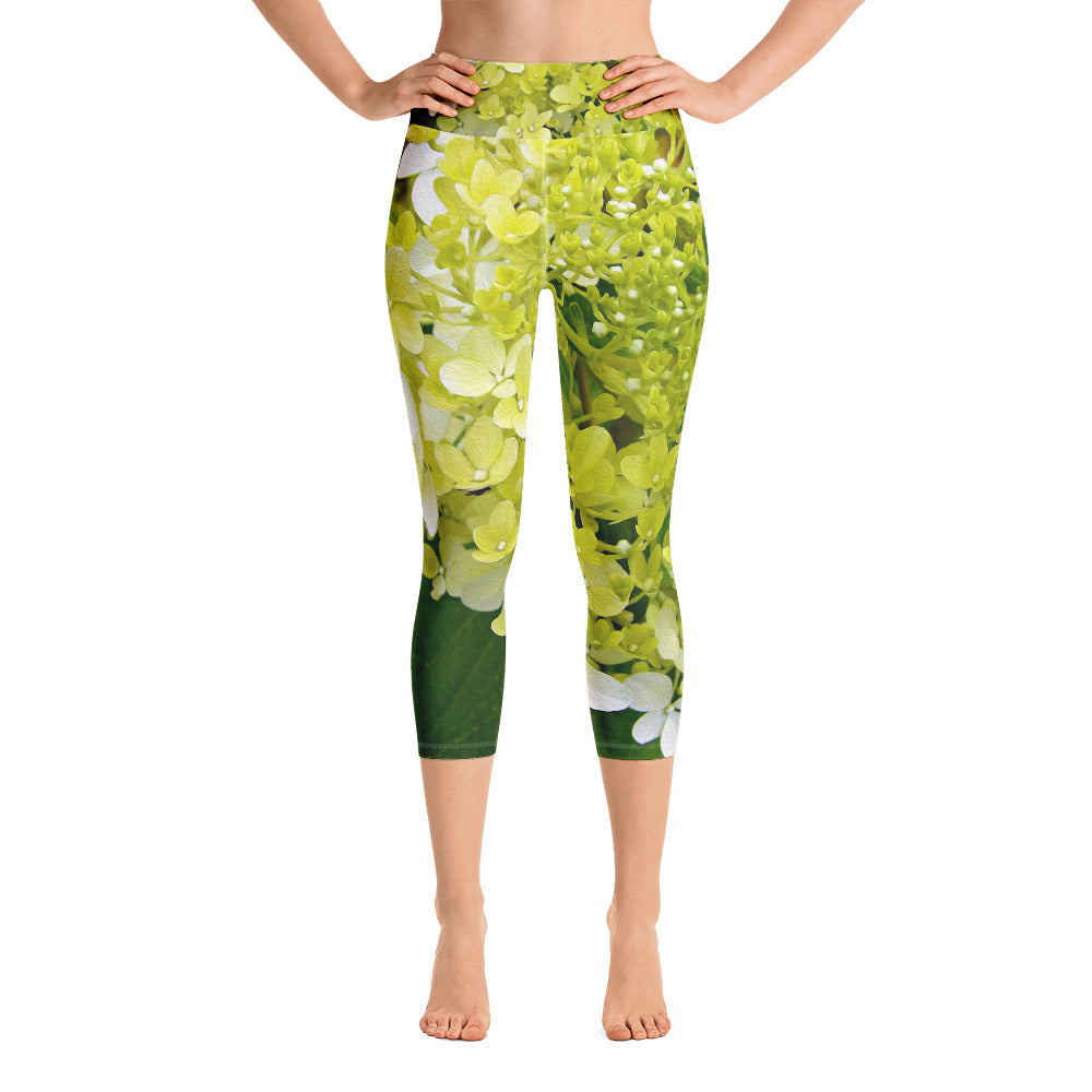 Capri Yoga Leggings, Elegant Chartreuse Green Limelight Hydrangea