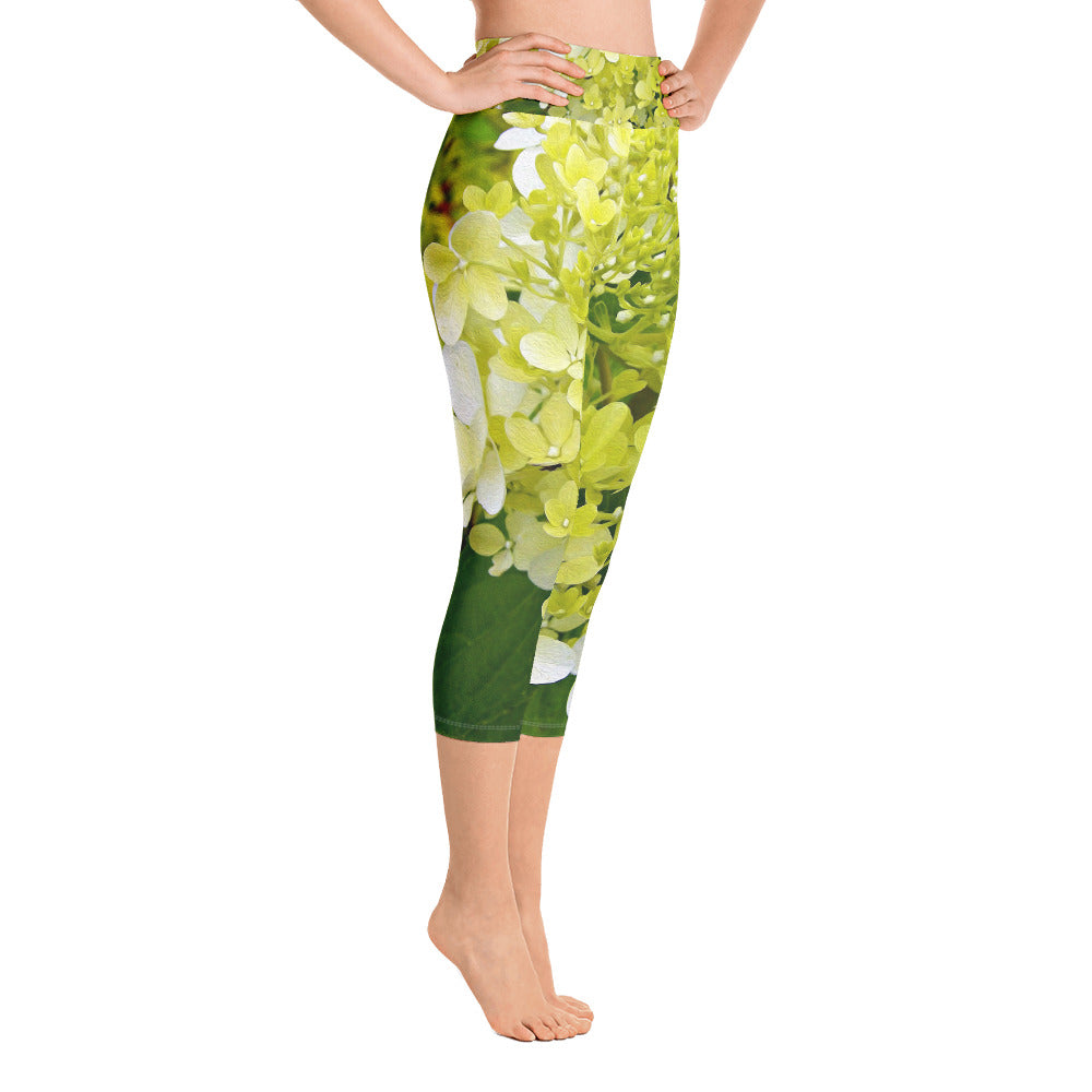 Capri Yoga Leggings, Elegant Chartreuse Green Limelight Hydrangea