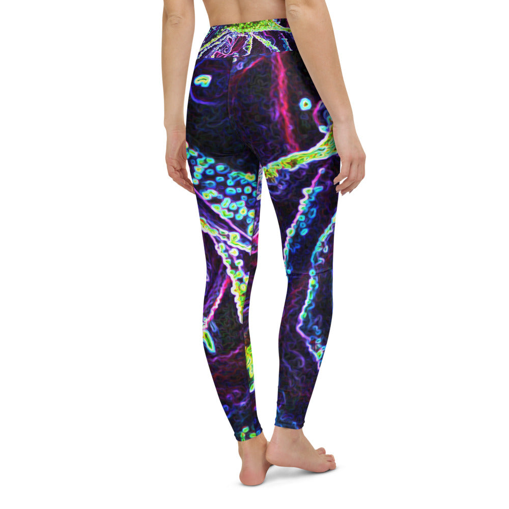 Yoga Leggings for Women, Graphic Black White Blue and Green Rose Detail