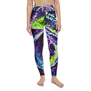 Yoga Leggings for Women, Graphic Black White Blue and Green Rose Detail