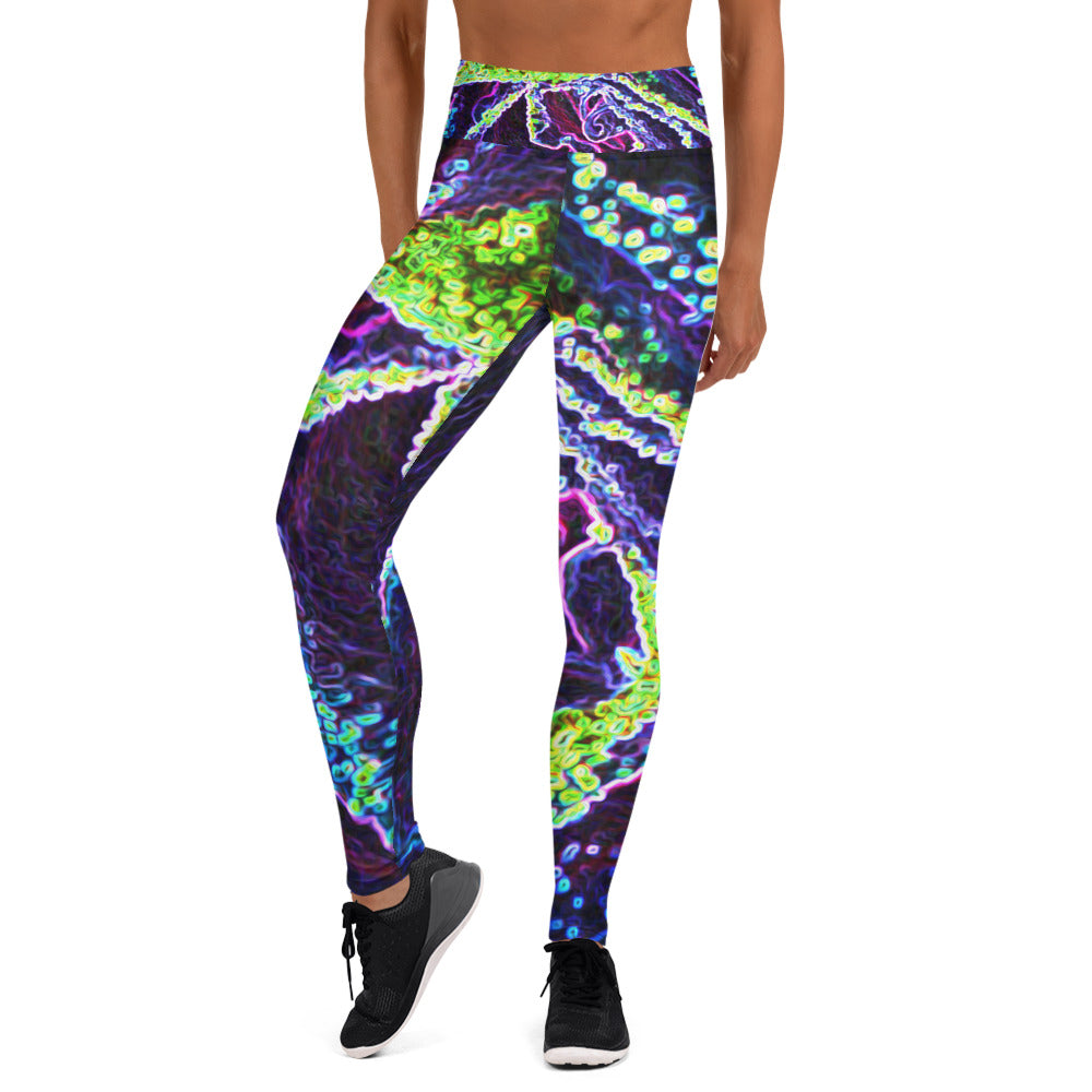 Yoga Leggings for Women, Graphic Black White Blue and Green Rose Detail