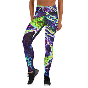 Yoga Leggings for Women, Graphic Black White Blue and Green Rose Detail