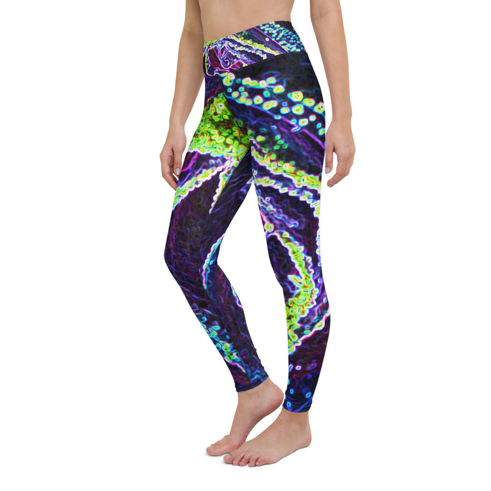 Yoga Leggings for Women, Graphic Black White Blue and Green Rose Detail