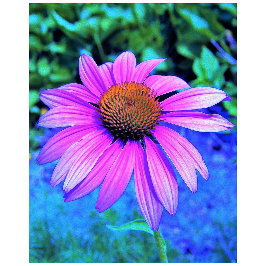 Posters for Room Aesthetic, Pink and Purple Coneflower on Blue Garden
