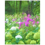 Posters, Annabella Hydrangeas and Purple Garden Landscape - Vertical