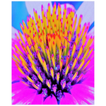 Posters, Abstract Macro Hot Pink and Yellow Coneflower - Vertical