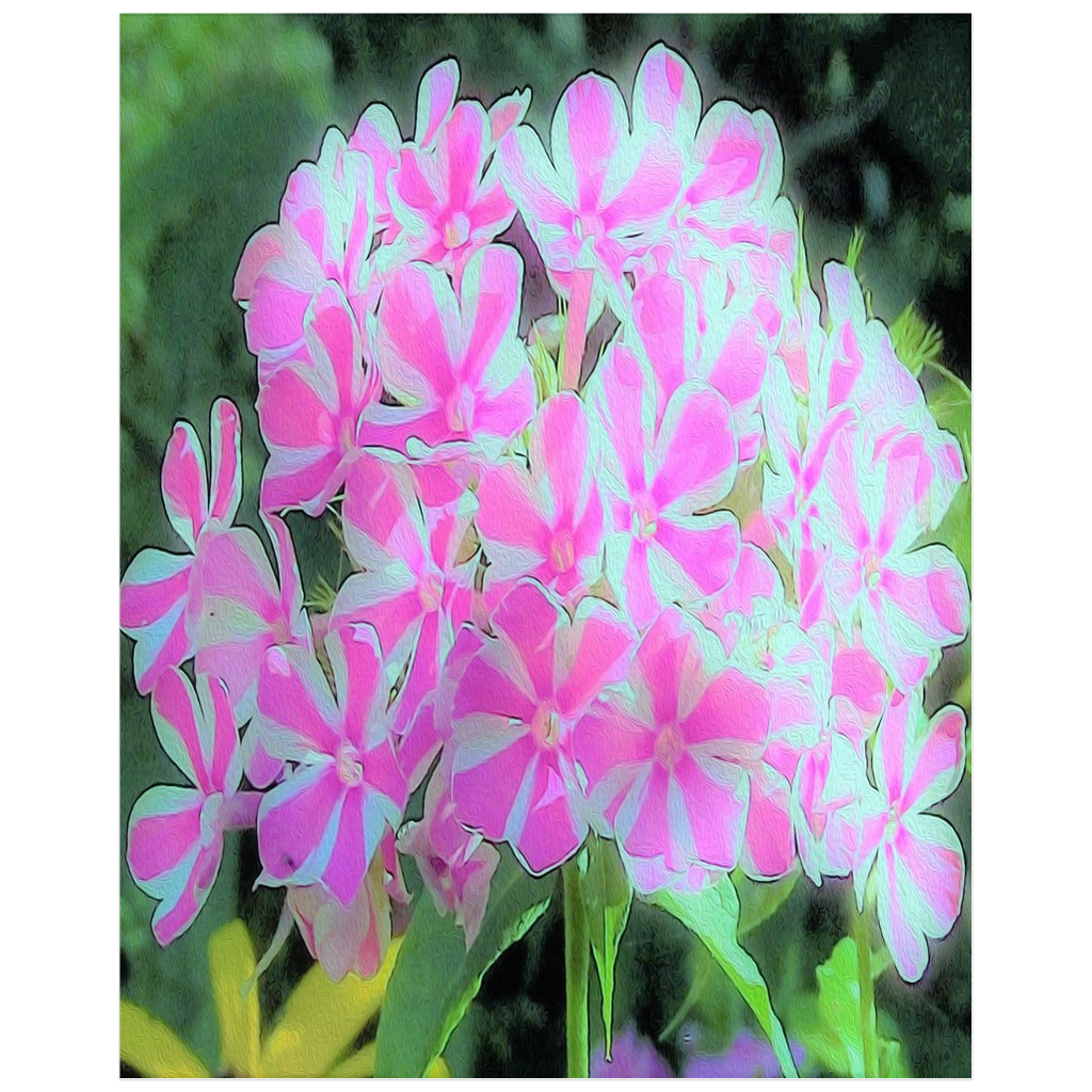 Floral Posters, Hot Pink and White Peppermint Twist Garden Phlox - Vertical