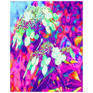 Posters, Psychedelic Aqua Twist and Shout Hydrangea