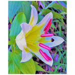 Posters for Girls Room, Beautiful White Trumpet Lily with Yellow Center