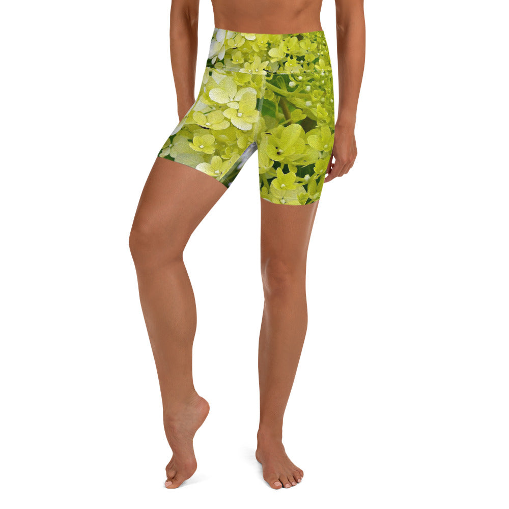 Yoga Shorts, Elegant Chartreuse Green Limelight Hydrangea