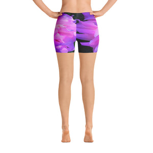 Spandex Shorts, Stunning Pink and Purple Cactus Dahlia