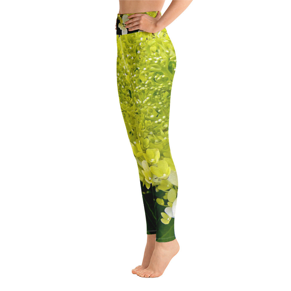 Yoga Leggings for Women, Elegant Chartreuse Green Limelight Hydrangea