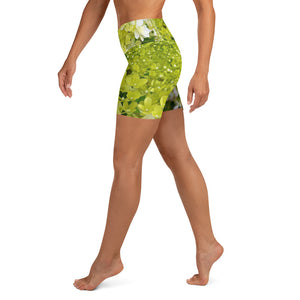 Yoga Shorts, Elegant Chartreuse Green Limelight Hydrangea
