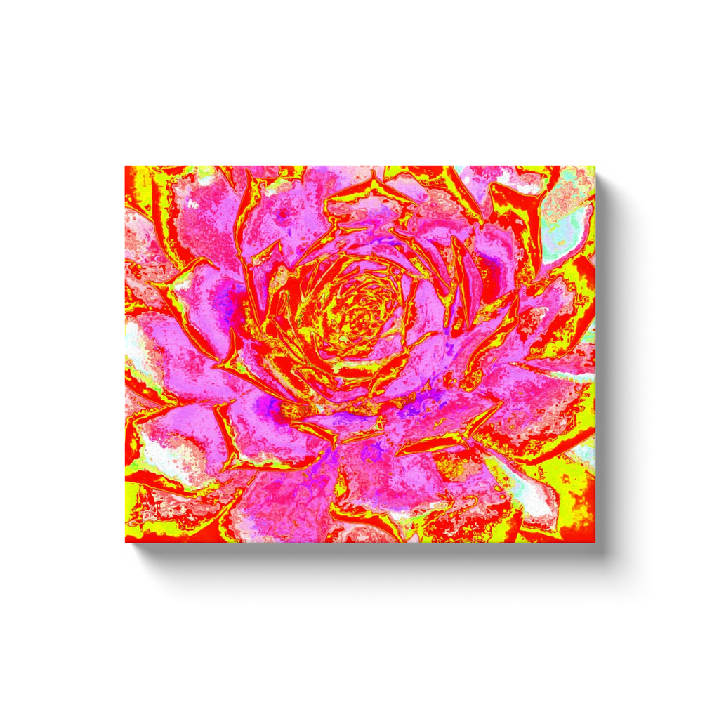 Canvas Wrapped Art Prints, Hot Pink, Red and Yellow Succulent Sedum Rosette