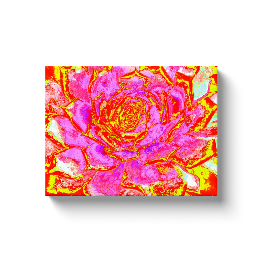 Canvas Wrapped Art Prints, Hot Pink, Red and Yellow Succulent Sedum Rosette