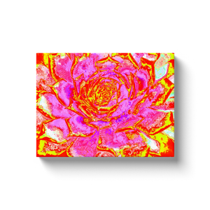 Canvas Wrapped Art Prints, Hot Pink, Red and Yellow Succulent Sedum Rosette