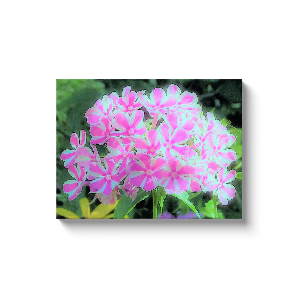 Canvas Wraps, Hot Pink and White Peppermint Twist Garden Phlox