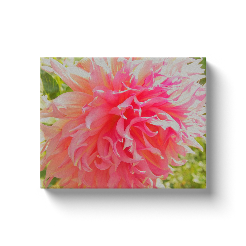 Canvas Wraps, Elegant Coral and Pink Decorative Dahlia