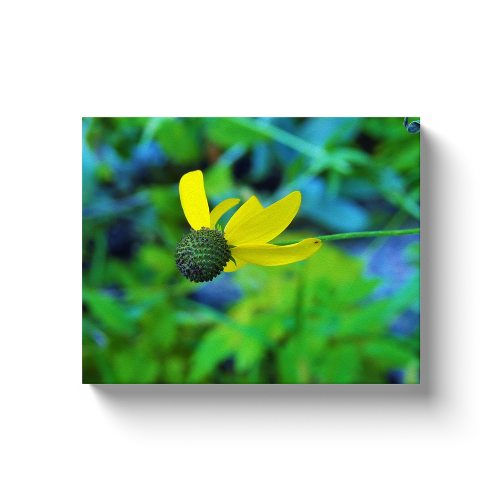 Canvas Wrapped Art Prints, Yellow Iowa Wildflower Soaring in the Garden Blue