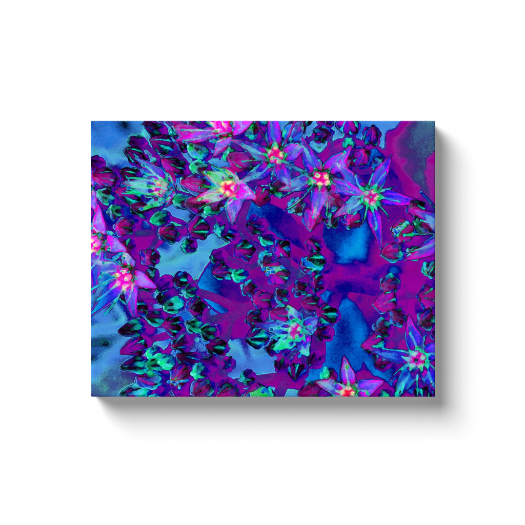 Canvas Wraps, Succulent Sedum Flowers in Teal, Magenta and Blue