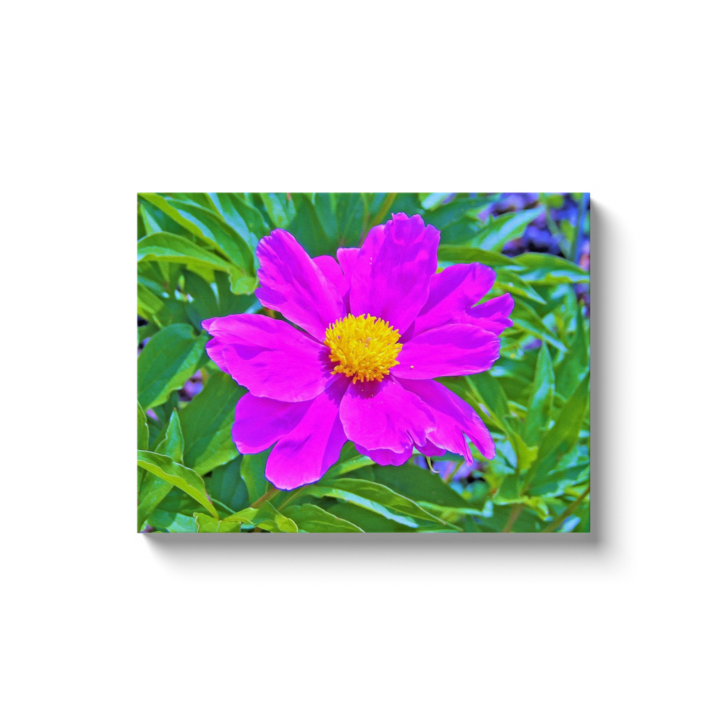 Canvas Wraps, Brilliant Ultra Violet Peony with Yellow Center