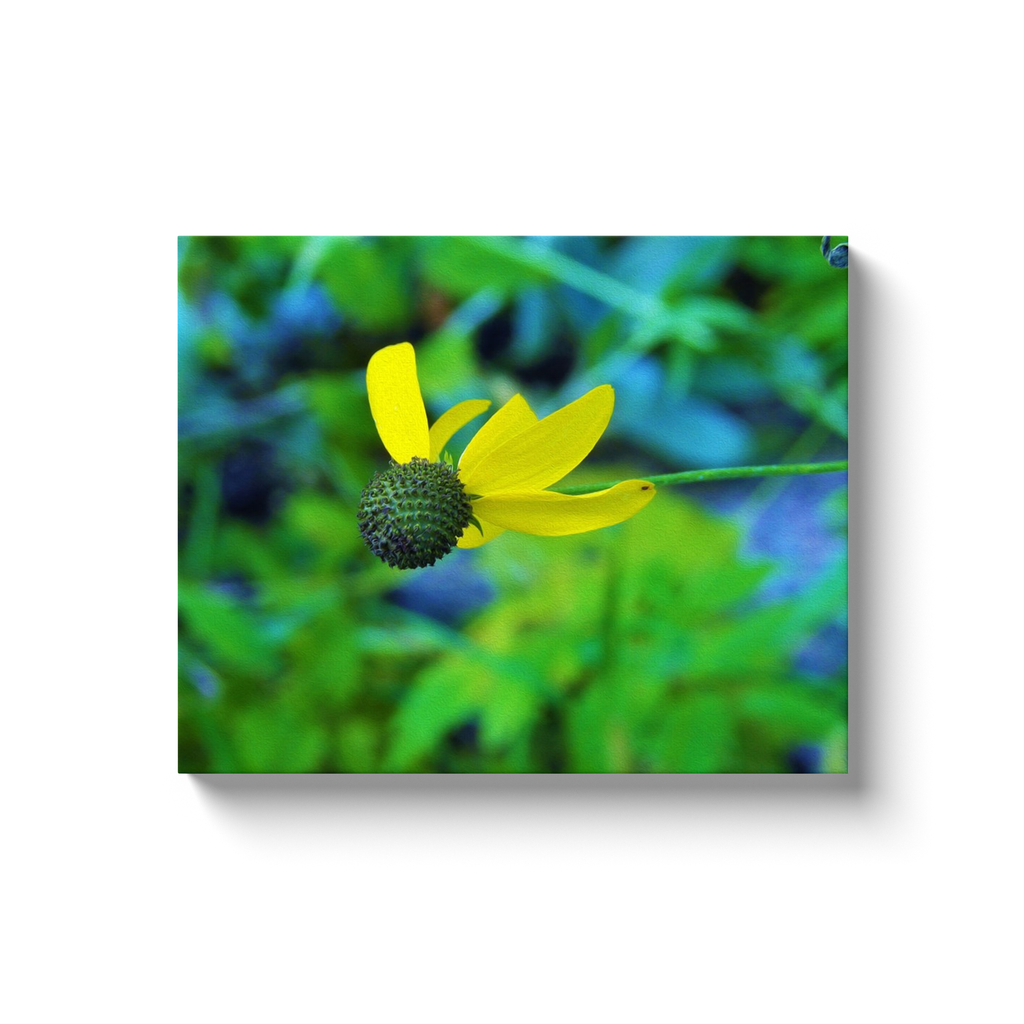 Canvas Wrapped Art Prints, Yellow Iowa Wildflower Soaring in the Garden Blue