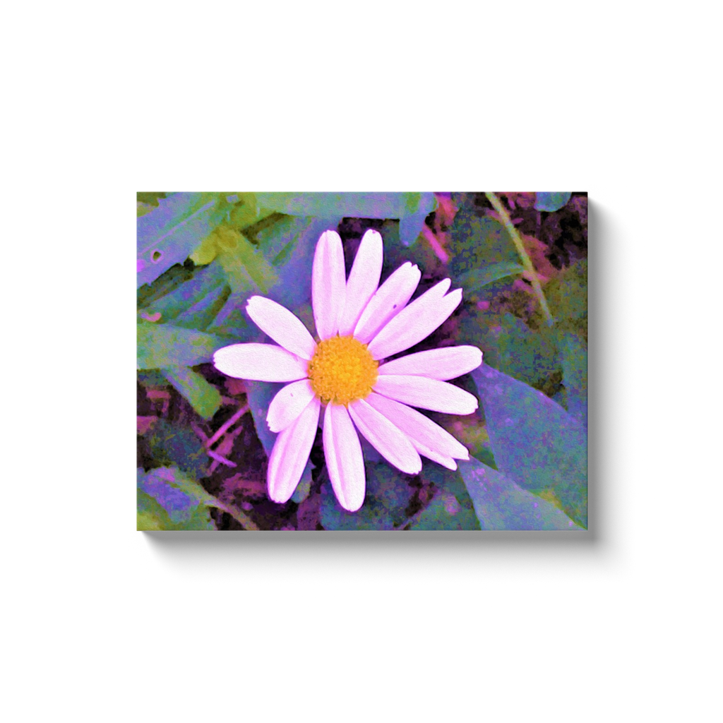 Canvas Wraps, Pink Daisy Flower