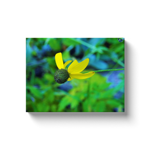 Canvas Wrapped Art Prints, Yellow Iowa Wildflower Soaring in the Garden Blue