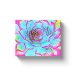 Canvas Wrapped Art Prints, Hot Pink and Blue Succulent Sedum Rosette