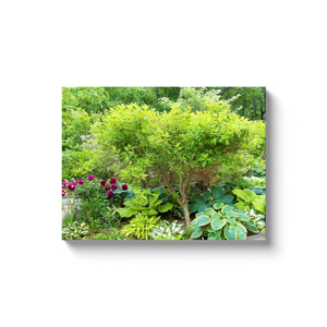 Canvas Wrapped Art Prints, Beautiful Green Garden Landscape with Hostas