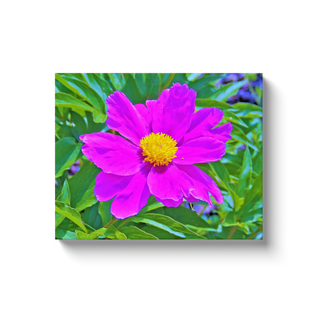 Canvas Wraps, Brilliant Ultra Violet Peony with Yellow Center