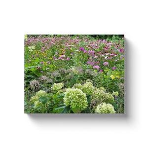 Canvas Wraps, Pink Cone Flower Garden Meadow with Hydrangeas
