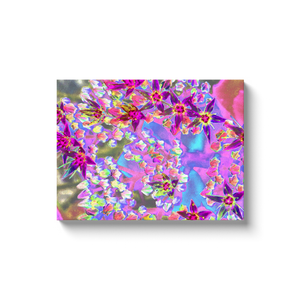 Canvas Wraps, Succulent Sedum Flowers in Purple, Pink and Blue
