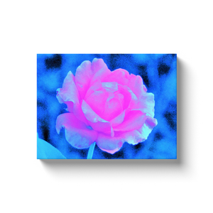 Canvas Wraps, Beautiful Pastel Pink Rose with Blue Background