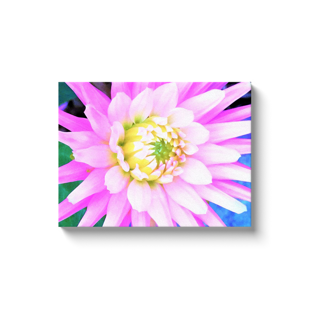 Canvas Wraps, Pretty Pink, White and Yellow Cactus Dahlia Macro