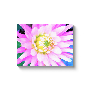 Canvas Wraps, Pretty Pink, White and Yellow Cactus Dahlia Macro
